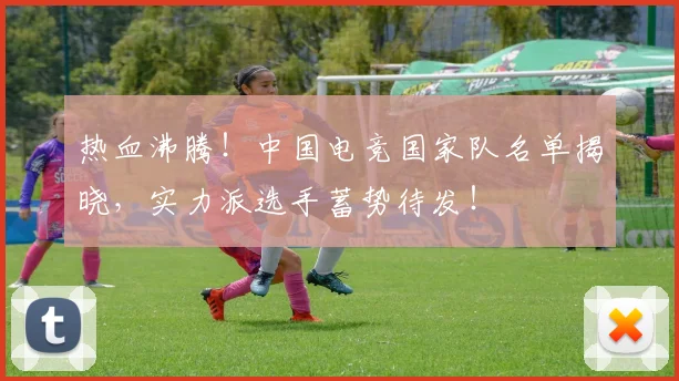 热血沸腾!中国电竞国家队名单揭晓,实力派选手蓄势待发!